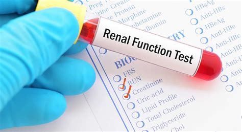 blood test for kidney function